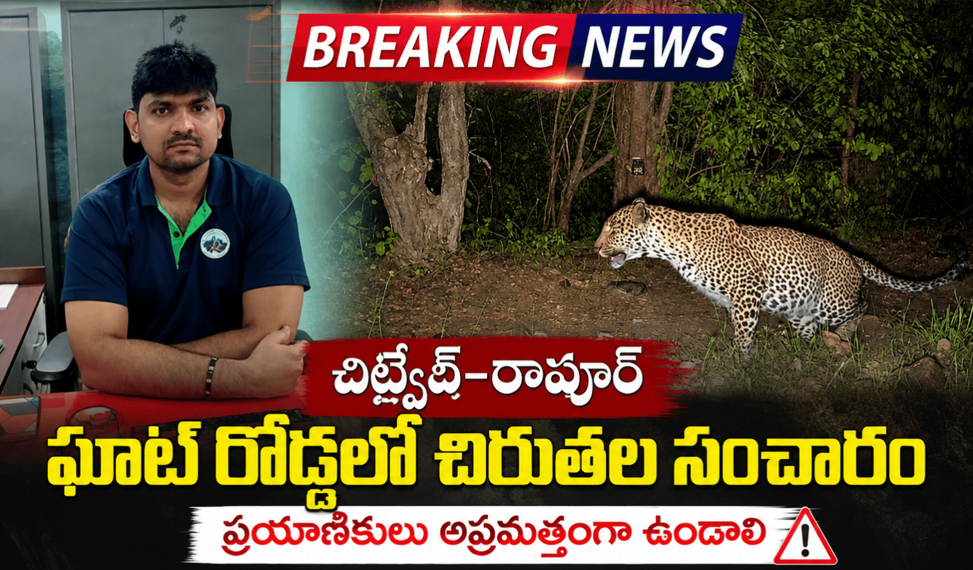 చిట్వేల్–రాపూర్ ఘాట్ రోడ్డులో చిరుతల సంచారం