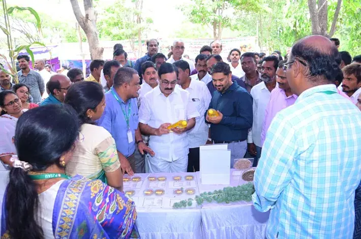 పంట నాణ్యత, నిల్వ, ప్రాసెసింగ్పై రైతులు దృష్టి సారించాలి