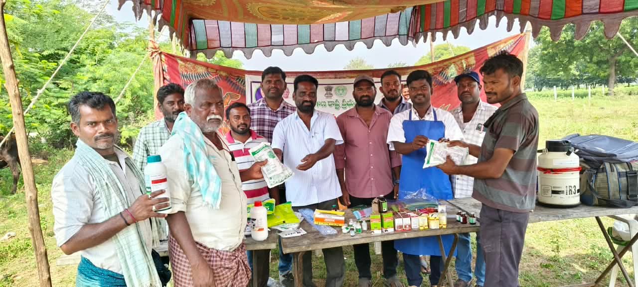 చౌదర్పల్లిలో పాడి పశువులకు గర్భకోశ వ్యాధుల చికిత్స శిబిరం